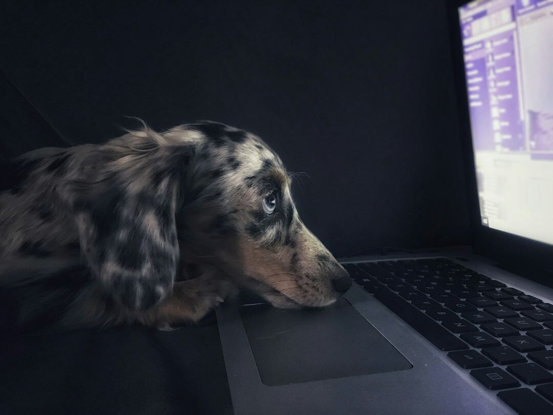 Python code on a laptop screen
